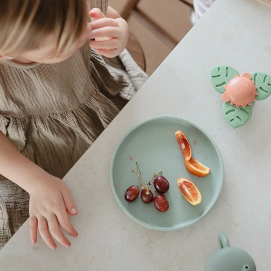 Assiette bebe silicone alimentaire
