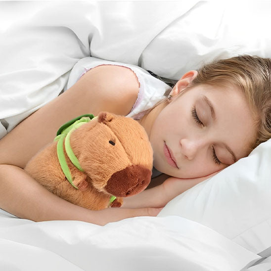 Peluche capybara coussin